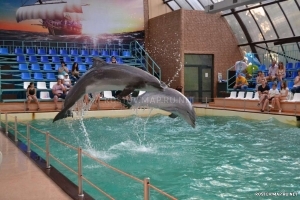 Ростовский дельфинарий