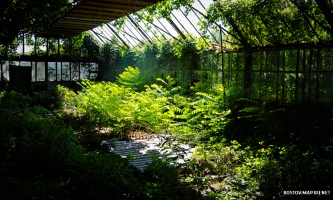 Ботанический сад ЮФУ