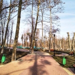 Комсомольский парк, Современные, Достопримечательности, Цветные