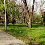Комсомольский парк, Современные, Достопримечательности, Цветные