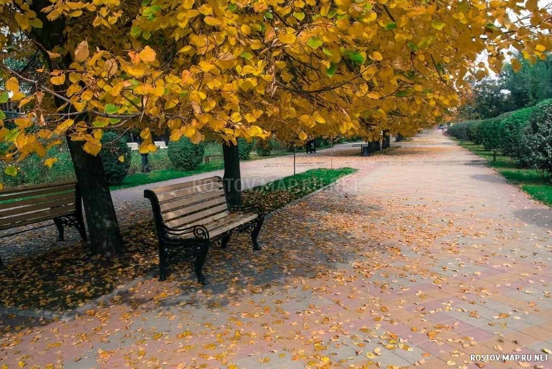 Парк культуры и отдыха Осенний , Современные, Достопримечательности, Цветные