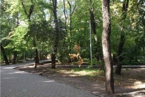 Детский парк имени Вити Черевичкина