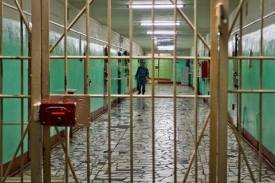 В Ростовской области за год в местах лишения свободы умерли 135 заключённых
