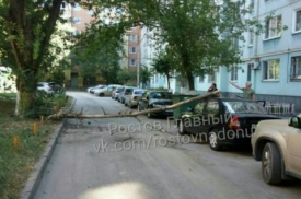 В Ростове упавшее дерево проломило крышу Hyunday Accent