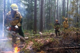 Пятые сутки не могут потушить пожар в Усть-Донецком районе Ростовской области